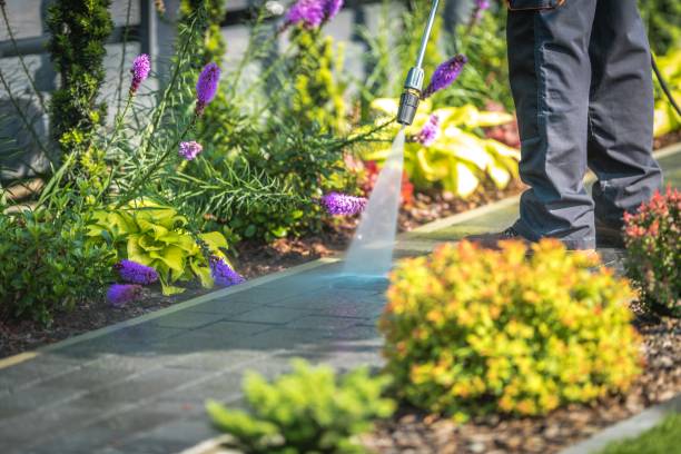 Best Winterizing Services  in China Lake Acres, CA